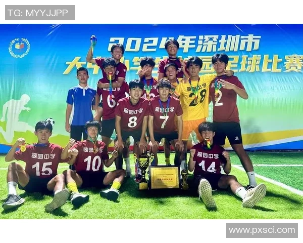 深圳足球队技术分析与战术探讨聚焦球队未来发展与挑战